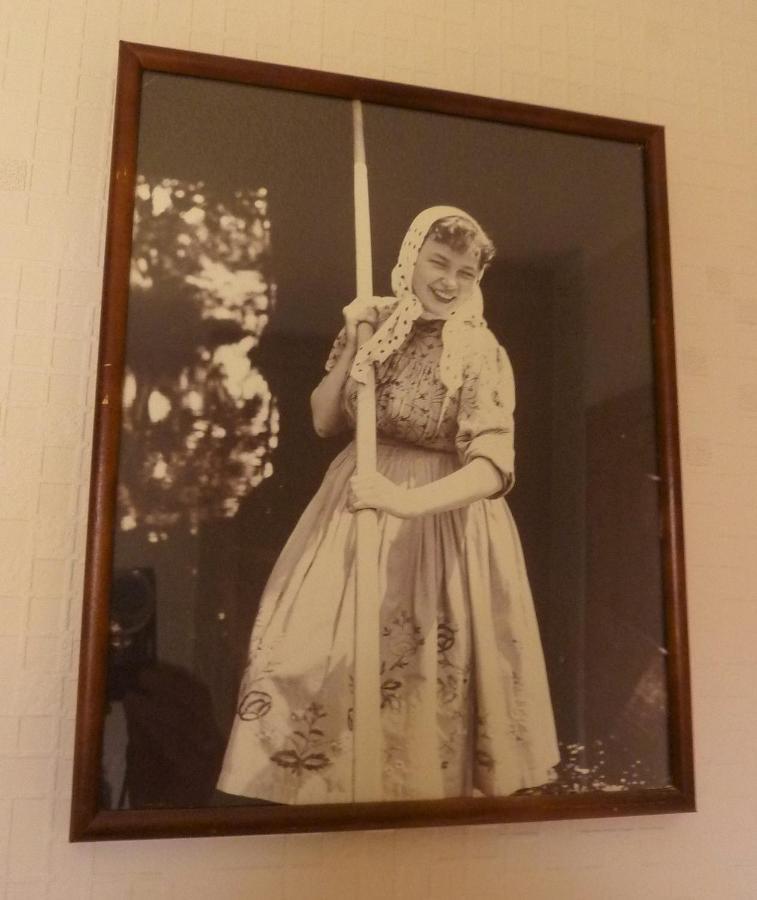 Ferienwohnungen An Den Linden Burg  Kültér fotó